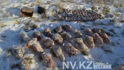 nv.kz, фото - Новости Zakon.kz от 04.01.2019 18:00