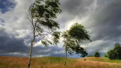 mayaksbor.ru, фото - Новости Zakon.kz от 18.04.2019 11:06