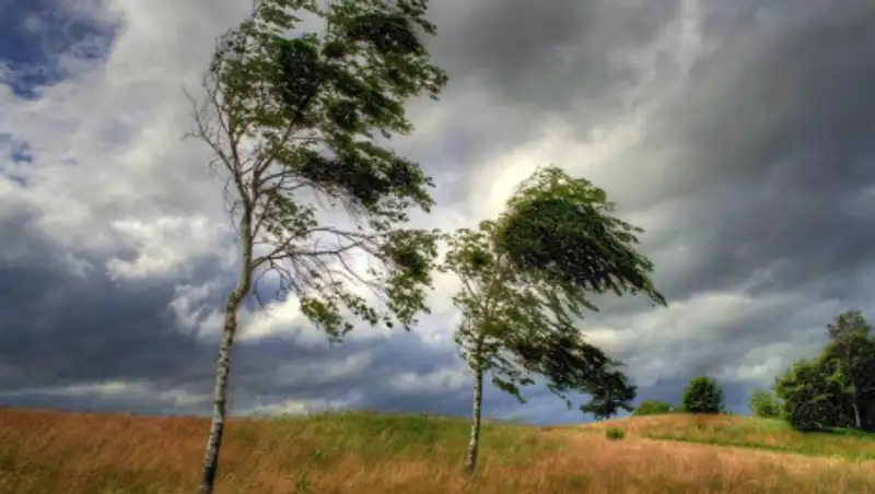 Шторм надвигается на Жамбылскую область