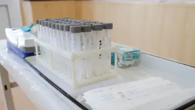 gazeta.uz, фото - Новости Zakon.kz от 08.06.2020 18:23