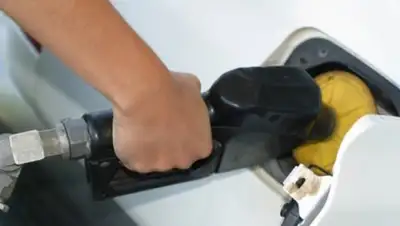 © FreeImages.com Content License, фото - Новости Zakon.kz от 19.11.2018 21:09