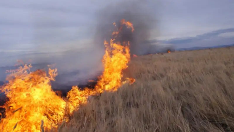 Пожар близ Нур-Султана потушен
