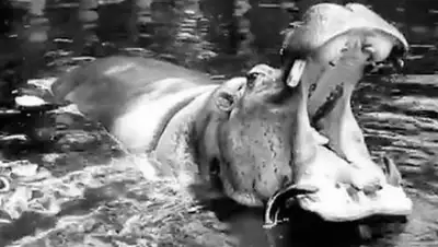 Zakon.kz, фото - Новости Zakon.kz от 22.07.2017 22:28