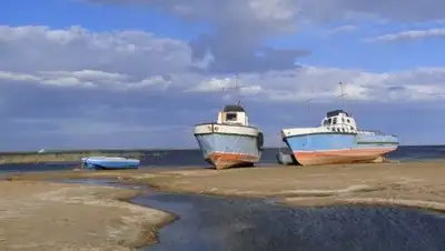 liter.kz, фото - Новости Zakon.kz от 02.03.2018 10:02