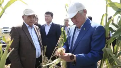 Zakon.kz, фото - Новости Zakon.kz от 07.09.2017 17:22