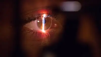 Unsplash, фото - Новости Zakon.kz от 27.07.2021 19:08