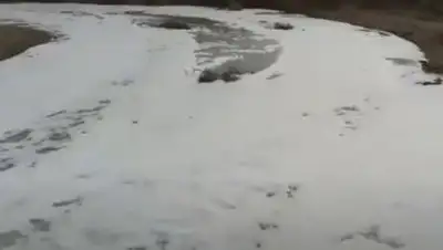 кадр из видео, фото - Новости Zakon.kz от 04.03.2021 14:13