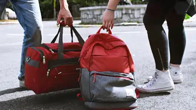 сумки, фото - Новости Zakon.kz от 28.07.2022 09:24