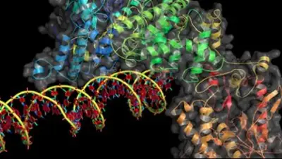 Zakon.kz, фото - Новости Zakon.kz от 27.06.2016 17:46