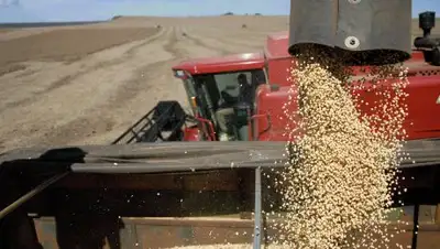 Zakon.kz, фото - Новости Zakon.kz от 06.09.2017 20:45