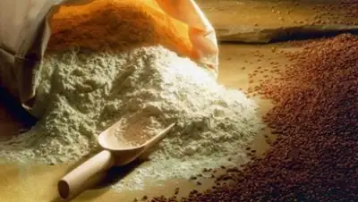 Zakon.kz, фото - Новости Zakon.kz от 22.01.2015 00:36