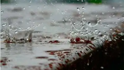 Zakon.kz, фото - Новости Zakon.kz от 06.08.2014 14:57