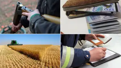 коллаж Zakon.kz, фото - Новости Zakon.kz от 08.11.2019 20:23