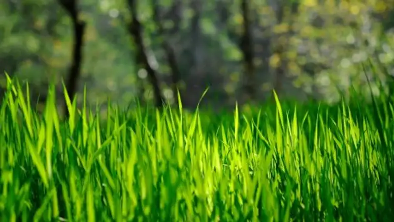 Какая погода будет весной и летом в Казахстане