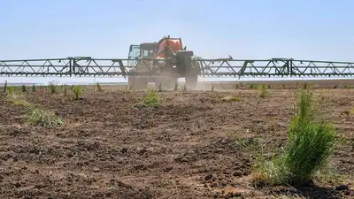 Какие права имеет арендатор земли с/х назначения, фото - Новости Zakon.kz от 07.06.2023 10:19