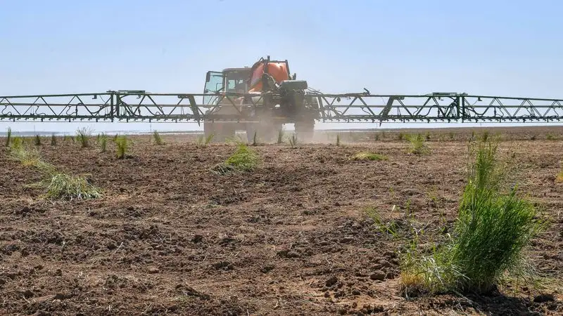 Какие права имеет арендатор земли сельхозназначения