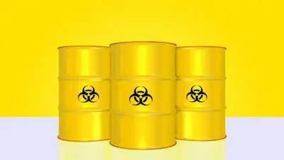 Pixabay, фото - Новости Zakon.kz от 07.04.2020 22:53