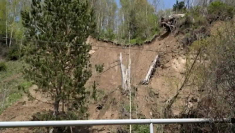 Алматыда лай к&#1257;шкіні ж&#1199;рді