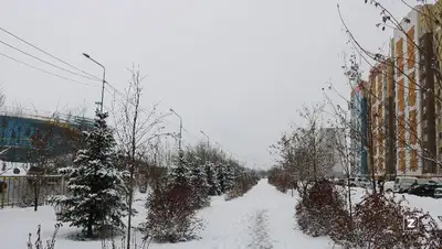 зима, снег , фото - Новости Zakon.kz от 28.01.2022 12:46
