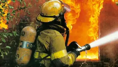 arrajol.com, фото - Новости Zakon.kz от 09.07.2018 20:08