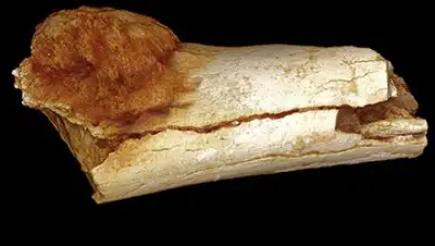 Zakon.kz, фото - Новости Zakon.kz от 29.07.2016 01:51