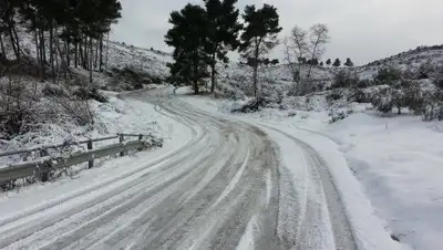 pxhere.com, фото - Новости Zakon.kz от 05.02.2019 21:35