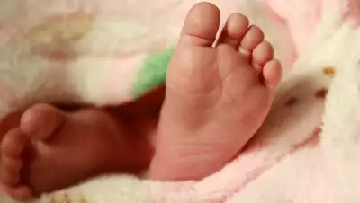 pixabay.com, фото - Новости Zakon.kz от 16.06.2020 12:28