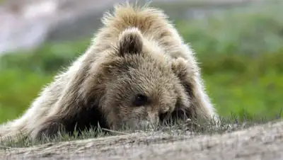 Zakon.kz, фото - Новости Zakon.kz от 22.07.2014 16:43