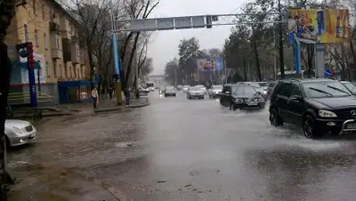 Zakon.kz, фото - Новости Zakon.kz от 29.04.2017 02:29