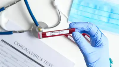 Pixabay, фото - Новости Zakon.kz от 04.06.2020 23:46