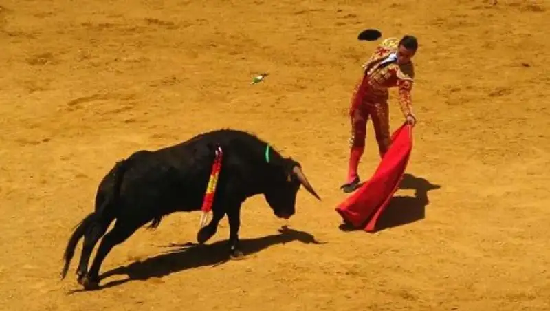 В Испании впервые за 30 лет бык насмерть забодал тореадора