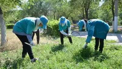 Самат Мырзалиев, фото - Новости Zakon.kz от 31.07.2018 17:07