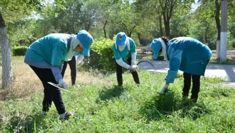 В трудовом отряде "Жасыл Ел" Туркестанской области работает 500 человек