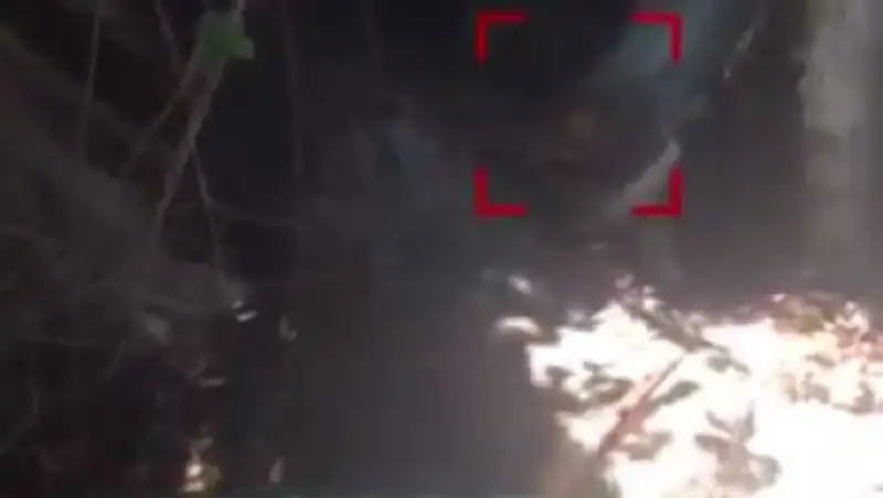 В Сочи возле пляжа нашли мёртвого крокодила