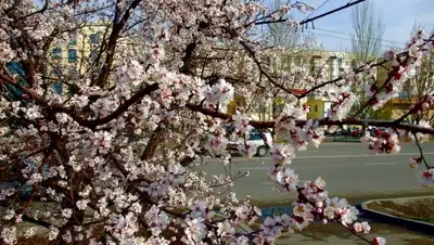 Zakon.kz, фото - Новости Zakon.kz от 27.03.2016 12:04