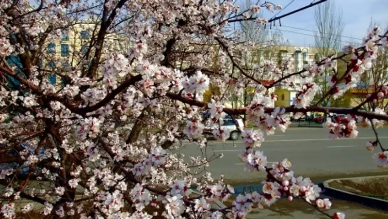 27 марта на большей части Казахстана ожидается погода без осадков