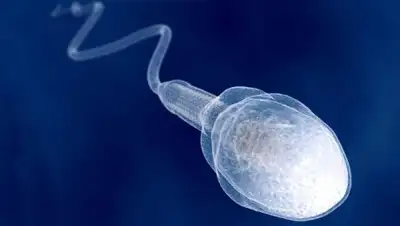 Большая медицинская энциклопедия, фото - Новости Zakon.kz от 16.12.2017 19:08