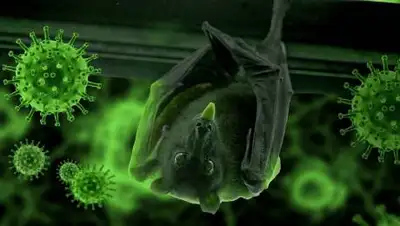 pixabay.com, фото - Новости Zakon.kz от 04.10.2021 10:32