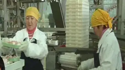 Zakon.kz, фото - Новости Zakon.kz от 07.05.2015 12:21