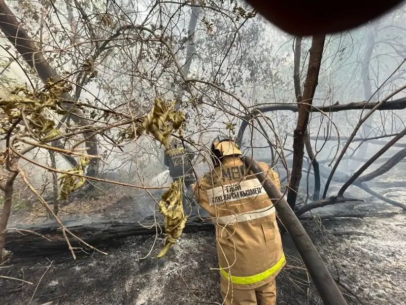 Пожар в Абайской области, фото - Новости Zakon.kz от 10.06.2023 13:36