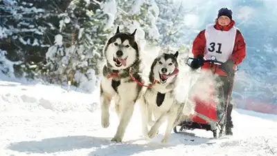 Zakon.kz, фото - Новости Zakon.kz от 04.01.2014 22:10