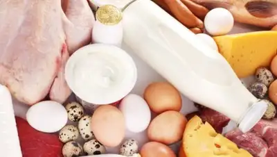 e-kbr.ru, фото - Новости Zakon.kz от 02.10.2018 10:15