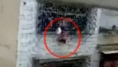 Zakon.kz, фото - Новости Zakon.kz от 23.02.2017 17:07