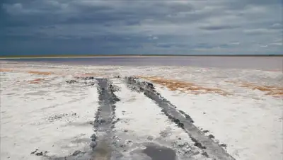 kz.media, фото - Новости Zakon.kz от 12.08.2020 15:01