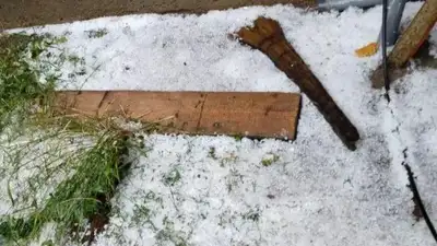 Град побил урожай в ЗКО , фото - Новости Zakon.kz от 03.07.2023 02:47