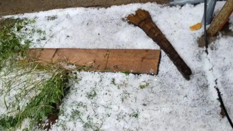 Град побил урожай в ЗКО