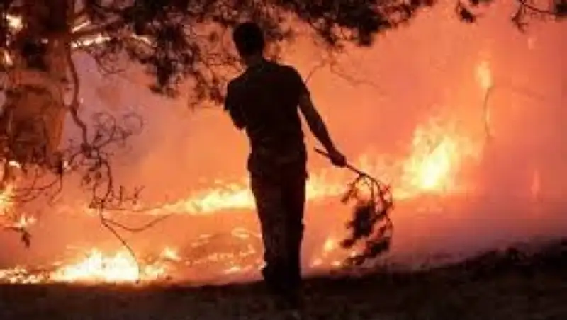 Как, отдыхая на природе, сохранить от пожаров лесные степные массивы и свою жизнь