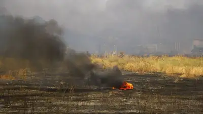 В Алматинской области горел камыш, фото - Новости Zakon.kz от 07.07.2023 13:32