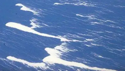 Zakon.kz, фото - Новости Zakon.kz от 16.01.2018 16:19