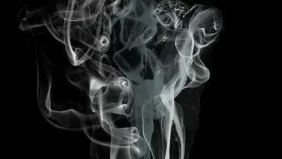 pixabay.com, фото - Новости Zakon.kz от 17.08.2020 17:53